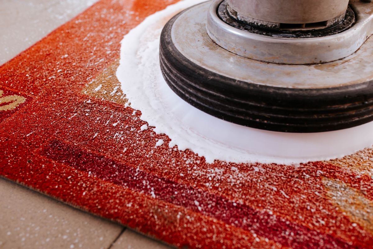 A person using a carpet cleaning machine to clean a large area rug in a well-lit room.